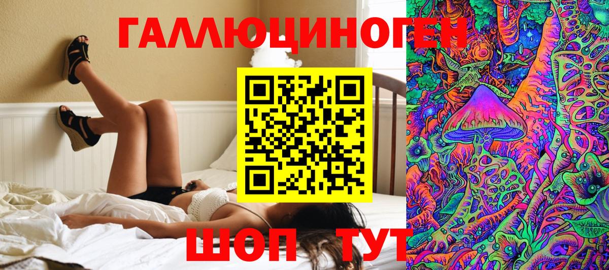 Майкоп  Галлюциногенные грибы Cubensis  Вход с VPN 
